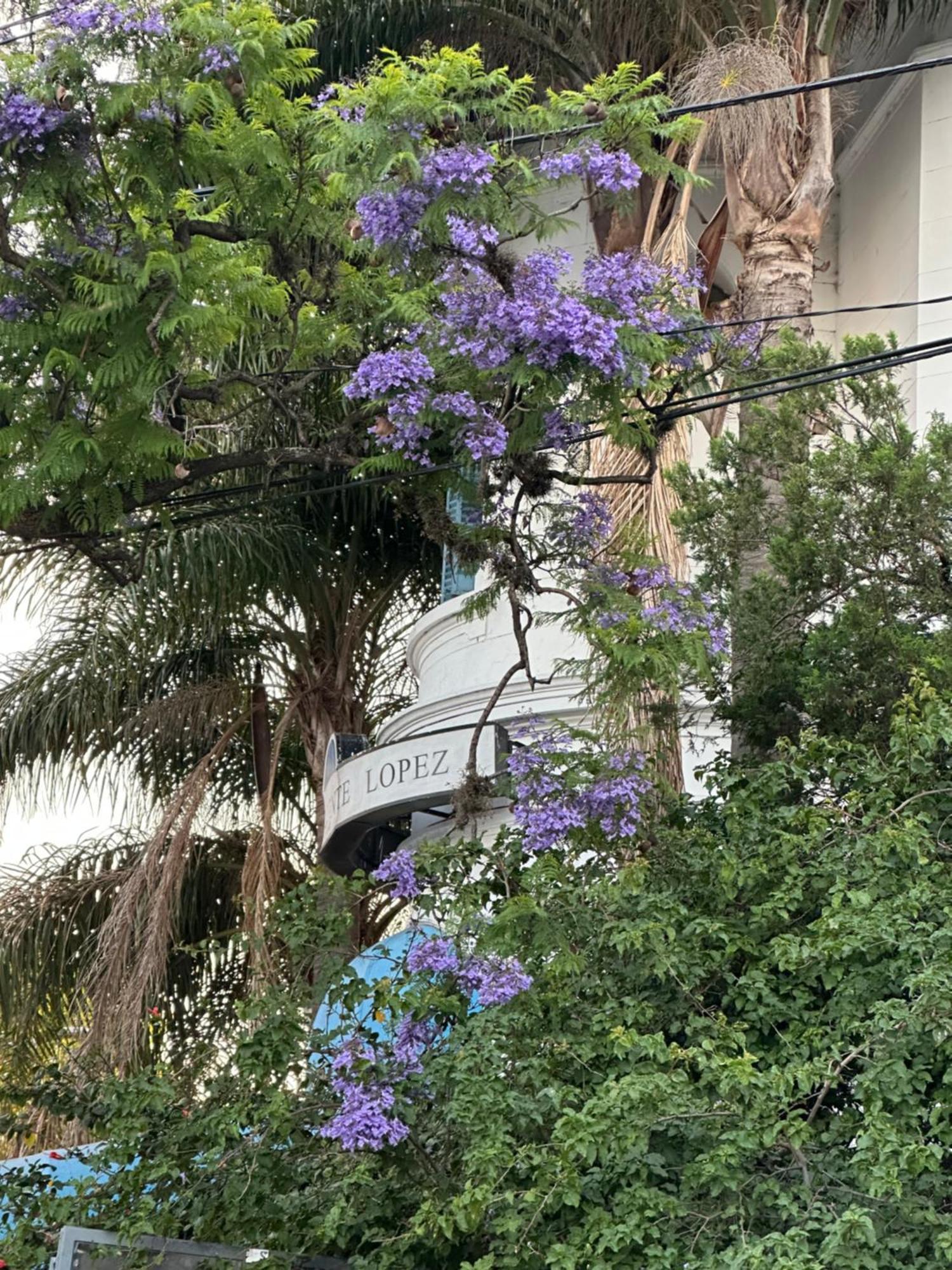 Hotel Vicente López Kültér fotó